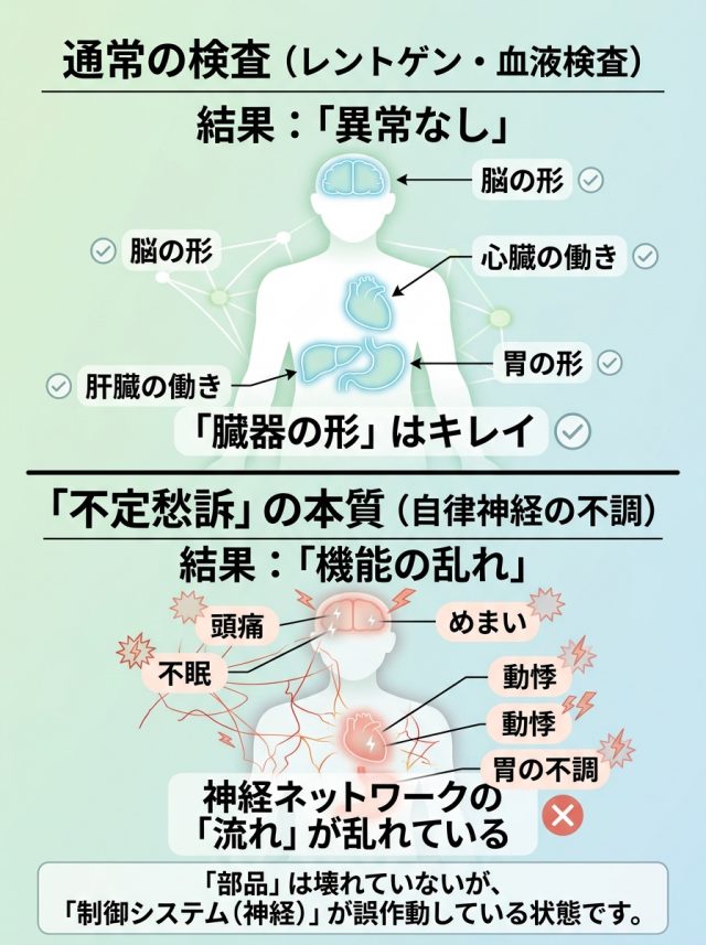 自律神経の不調による不定愁訴のイメージ